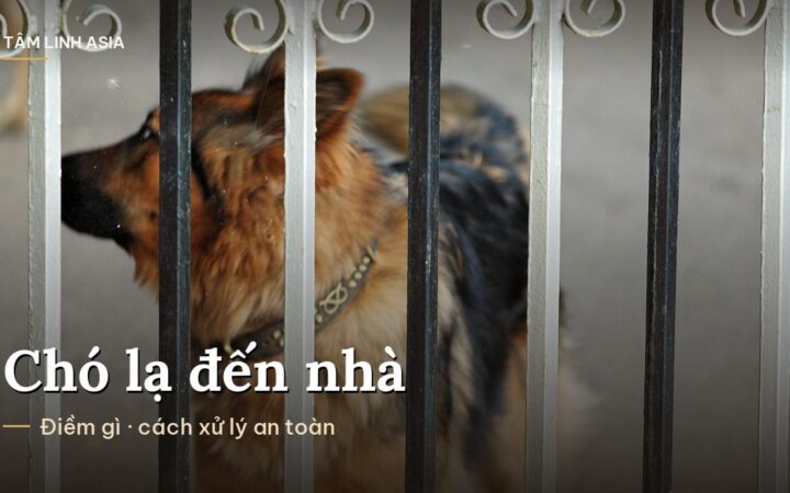 Chú chó becgie nhìn qua song cổng sắt