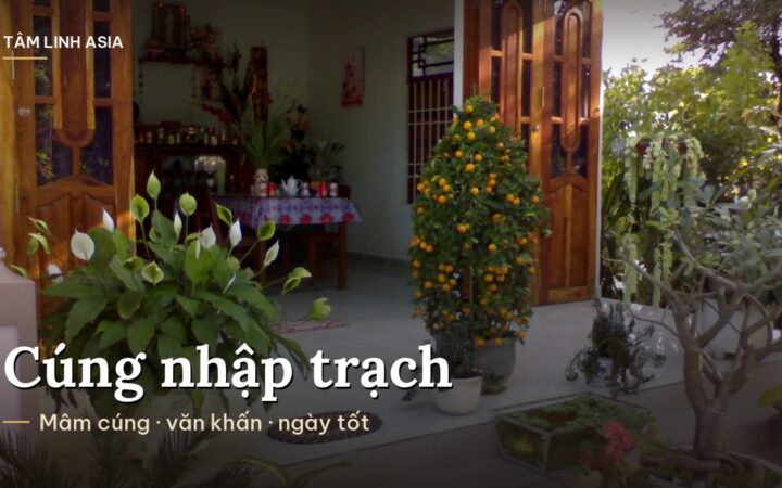Lối vào một ngôi nhà có chậu quất và hoa trước hiên