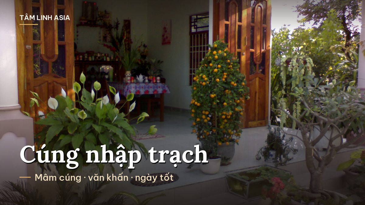 Lối vào một ngôi nhà có chậu quất và hoa trước hiên