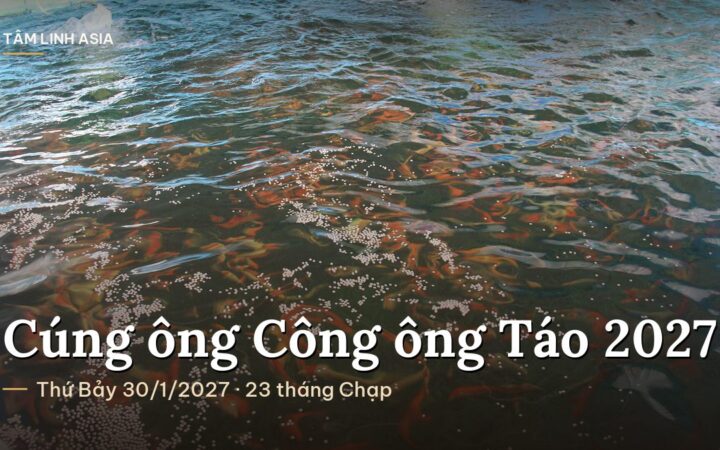 Đàn cá chép đỏ bơi trong hồ