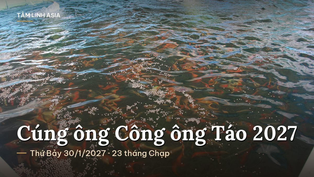 Đàn cá chép đỏ bơi trong hồ