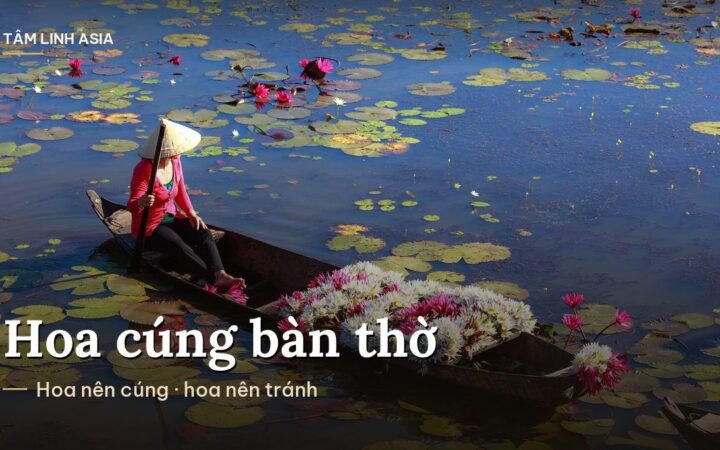 Người phụ nữ chèo thuyền hái hoa sen giữa đầm