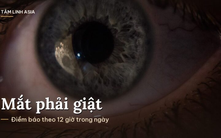 Cận cảnh mống mắt và đồng tử