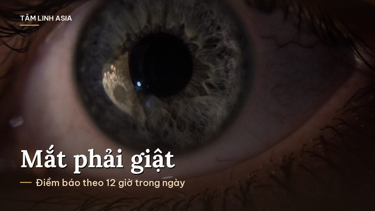 Cận cảnh mống mắt và đồng tử