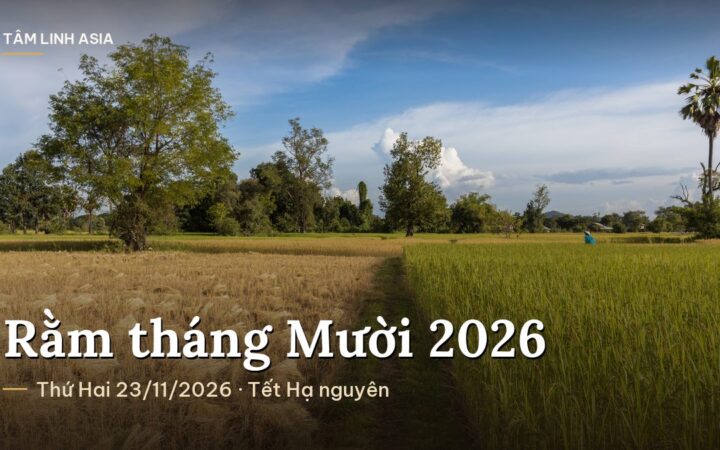 Cánh đồng lúa chín vàng xen lúa xanh dưới trời quang mây