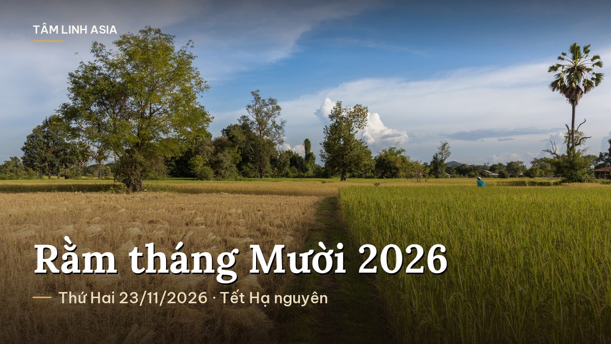 Cánh đồng lúa chín vàng xen lúa xanh dưới trời quang mây