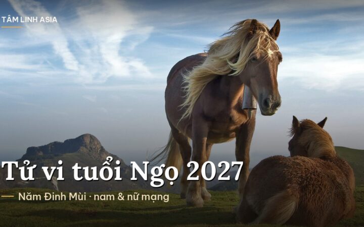 Hai con ngựa trên đồi cỏ dưới bầu trời xanh