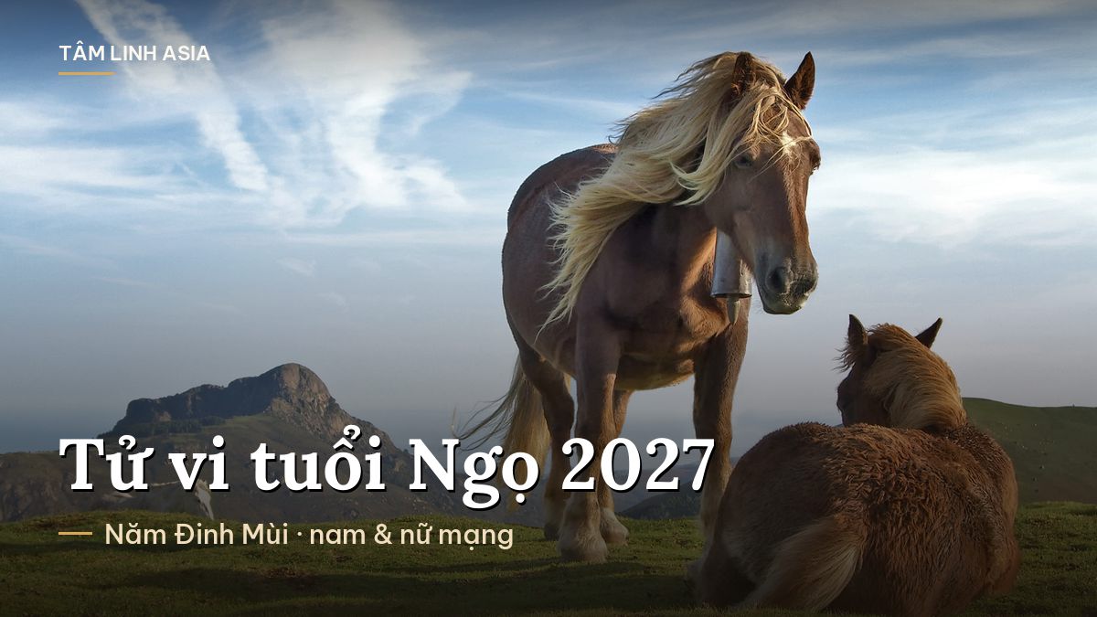 Hai con ngựa trên đồi cỏ dưới bầu trời xanh