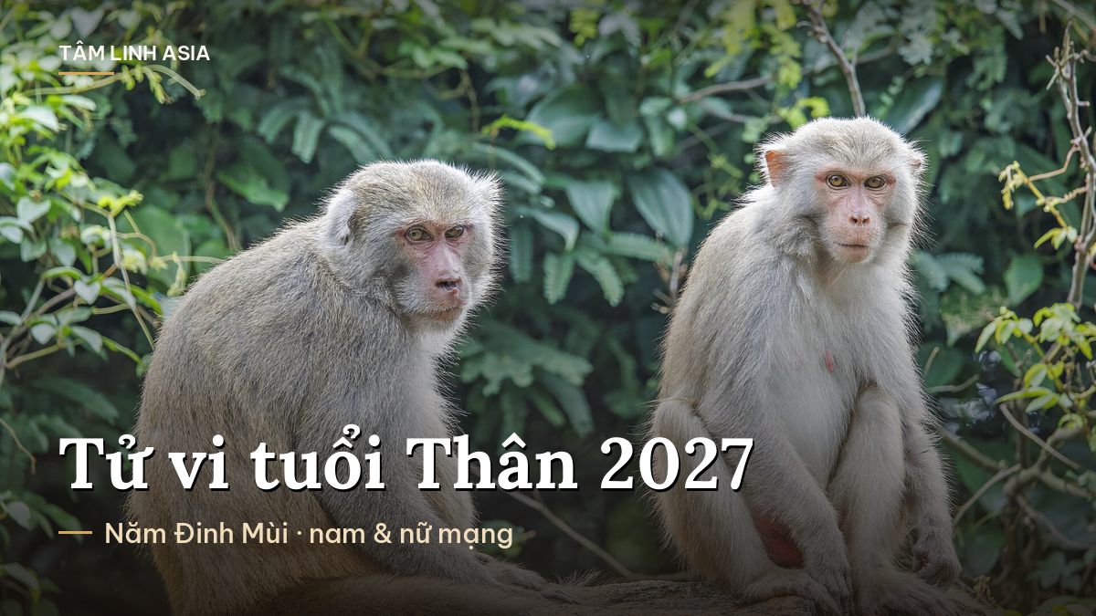 Hai con khỉ ngồi giữa tán cây xanh ở Sơn Trà, Đà Nẵng