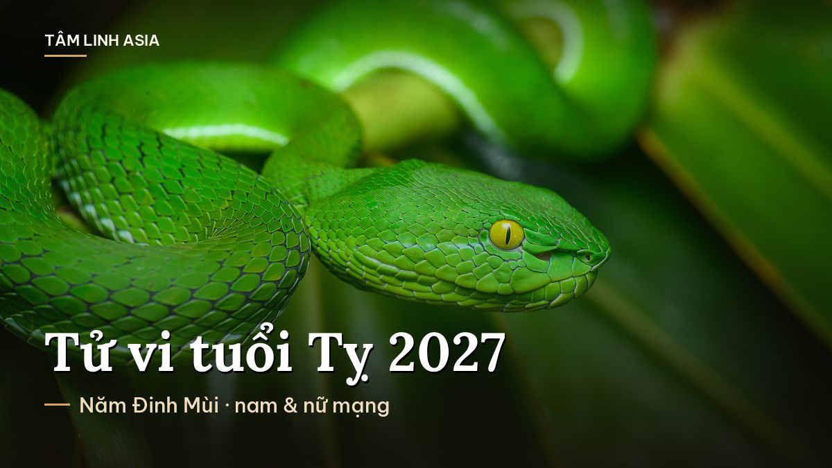 Rắn lục xanh cuộn mình giữa tán lá