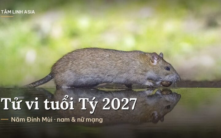 Con chuột nâu bên mép nước, in bóng xuống mặt nước