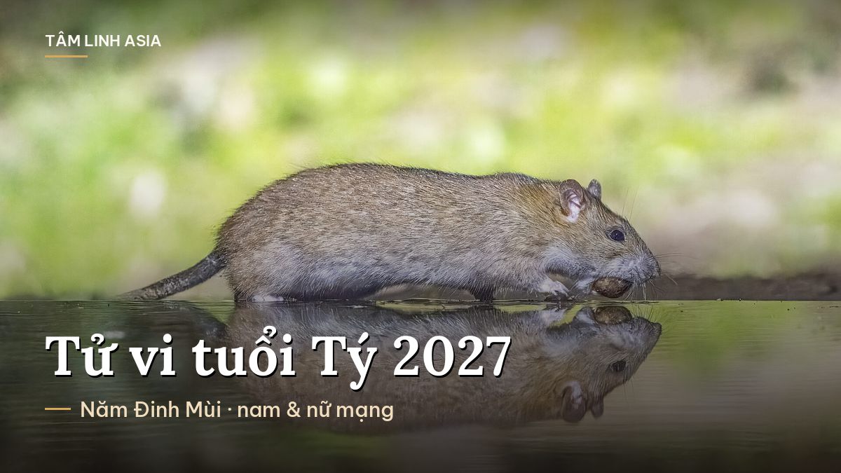 Con chuột nâu bên mép nước, in bóng xuống mặt nước
