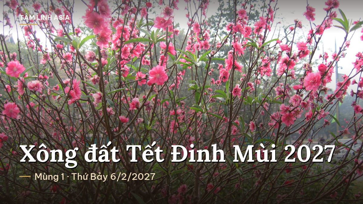 Cành hoa đào nở hồng ngày Tết